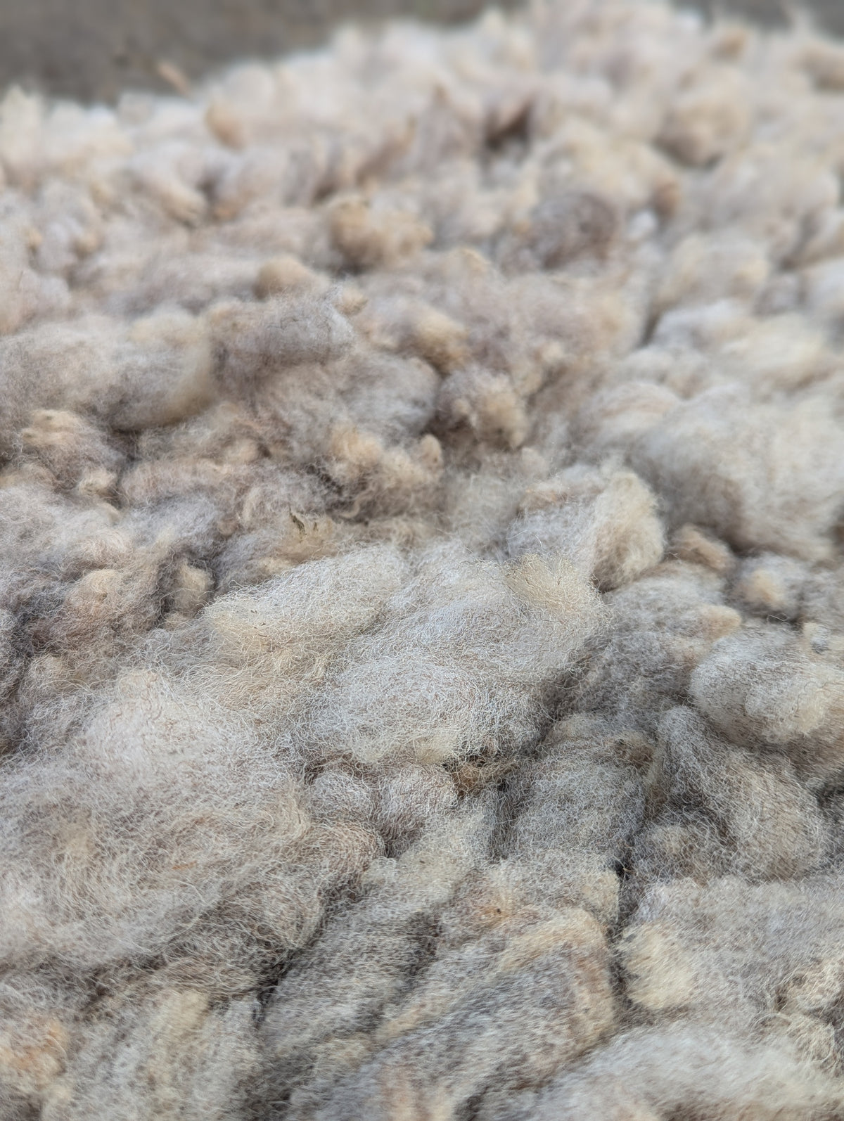 Peg Loom Sheep Wool Rug - Coloured Ryeland