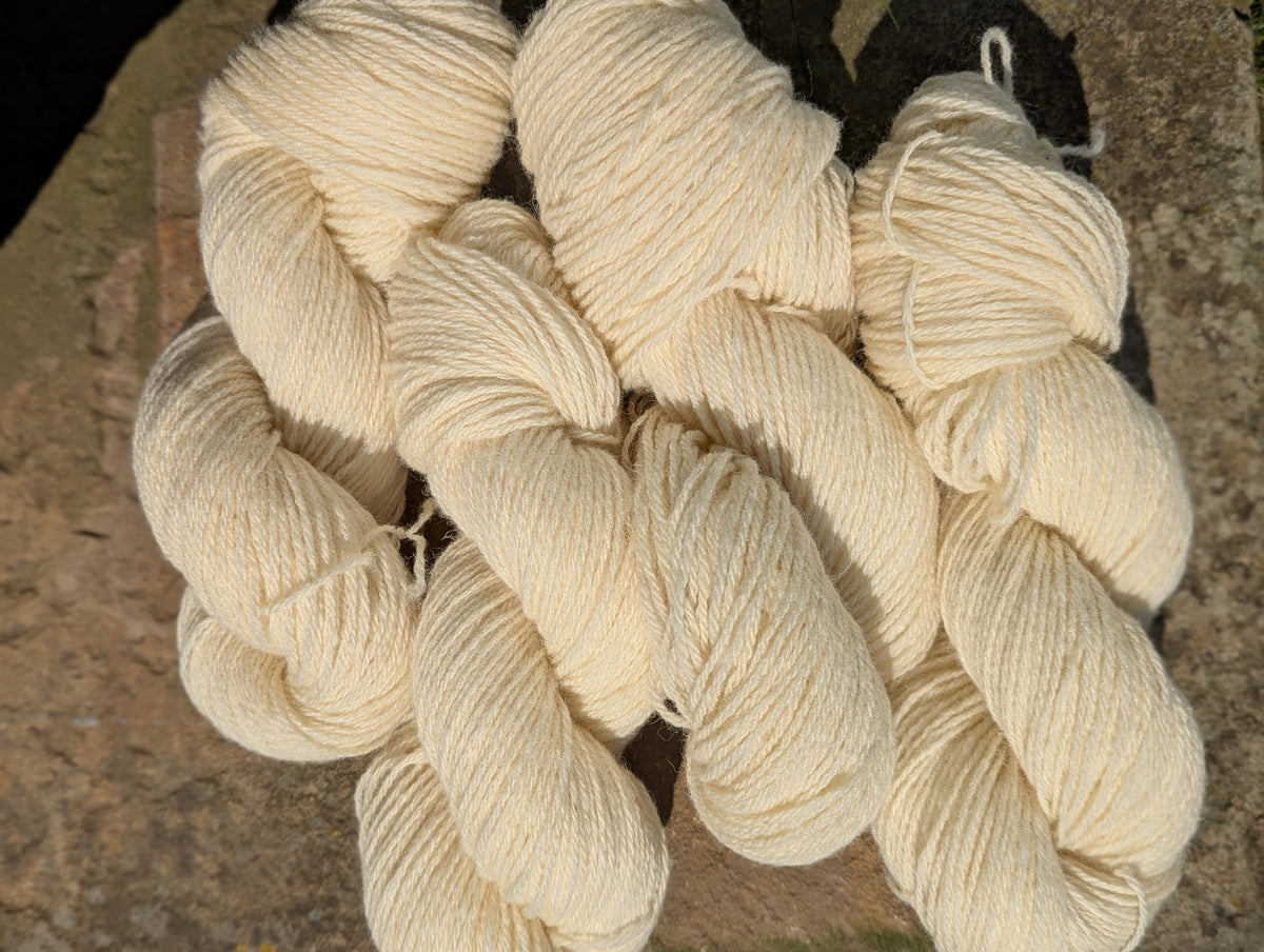 DK Yarn - Whitefaced Woodland Wool