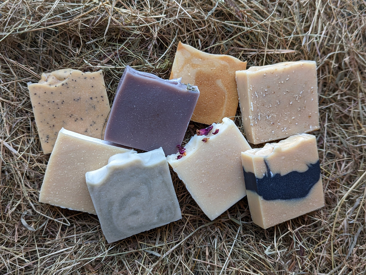 Handmade artisan sheep's milk soaps with natural ingredients and Whitefaced Woodland sheep milk