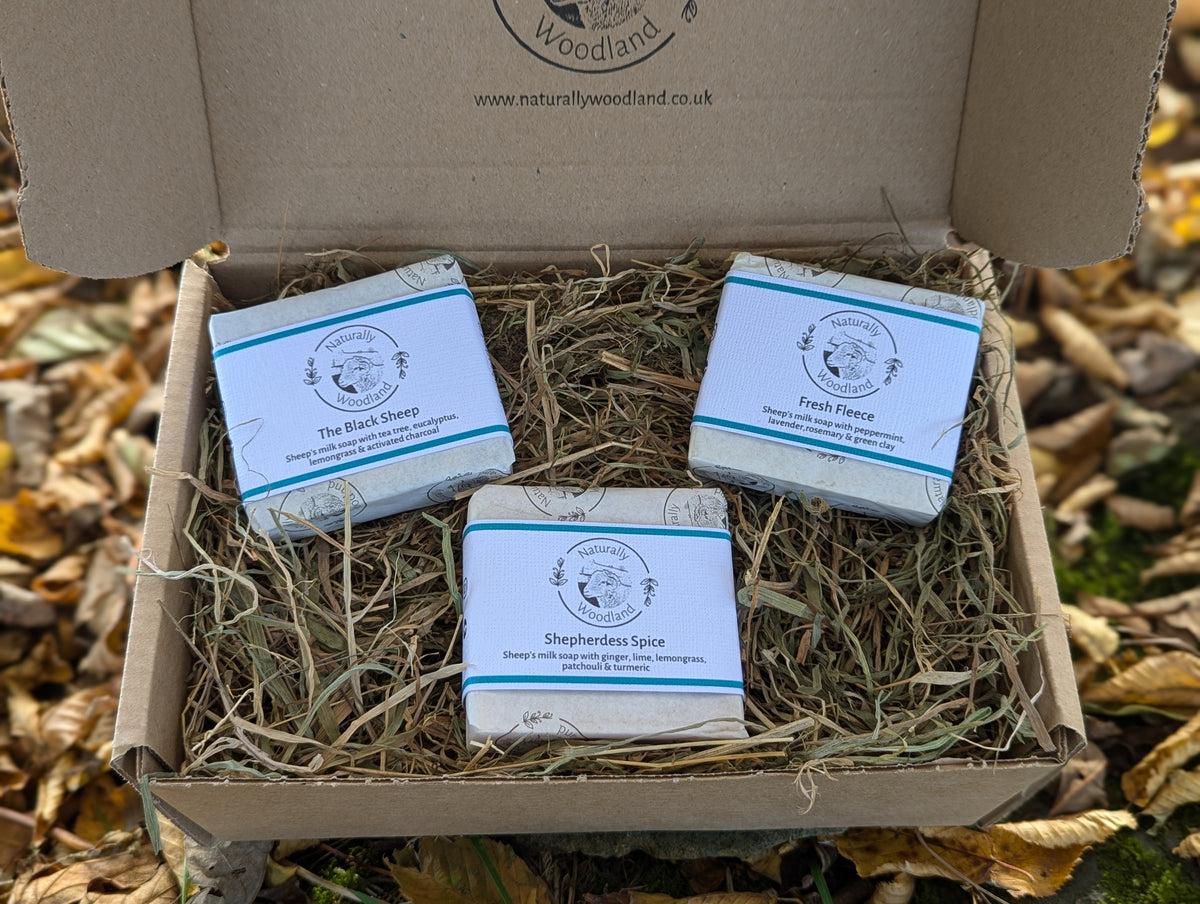 The Invigorating Collection - Three Soap Gift Set