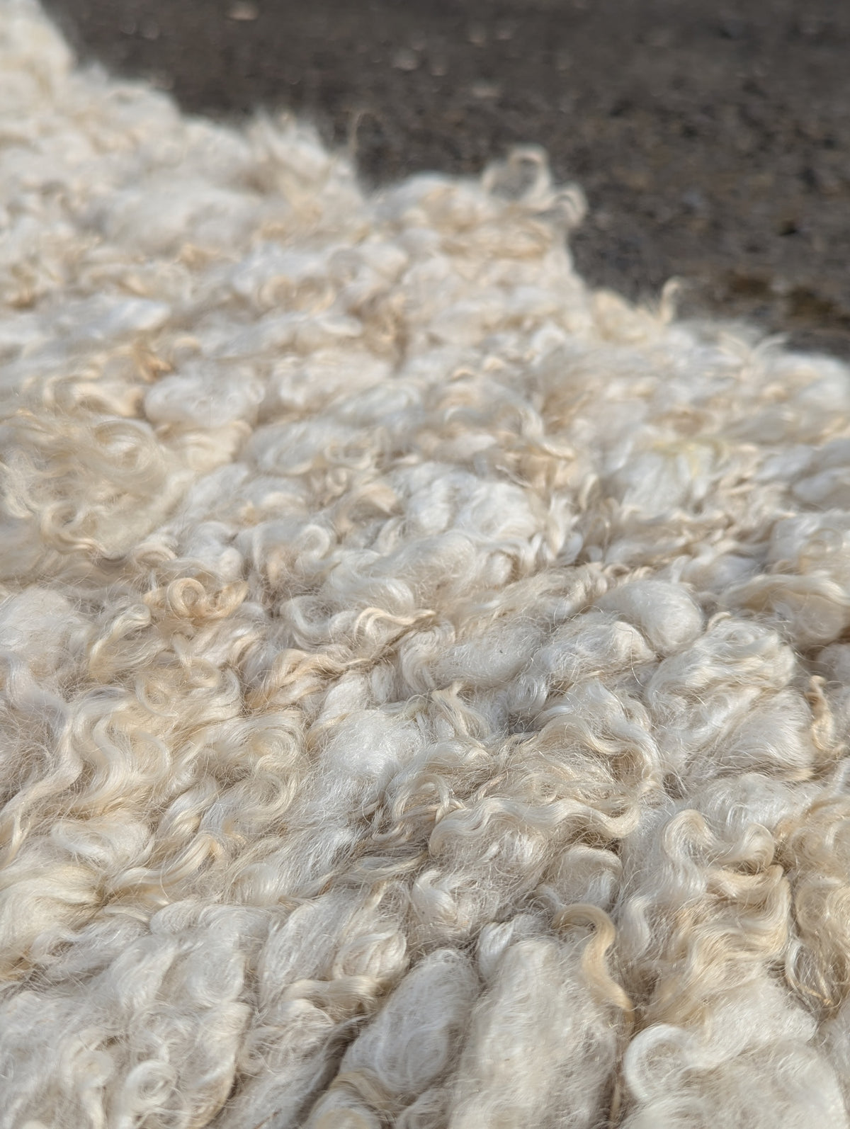 Peg Loom Sheep Wool Rug Runner - Valais Blacknose
