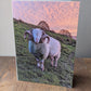 Printed Sheep Card
