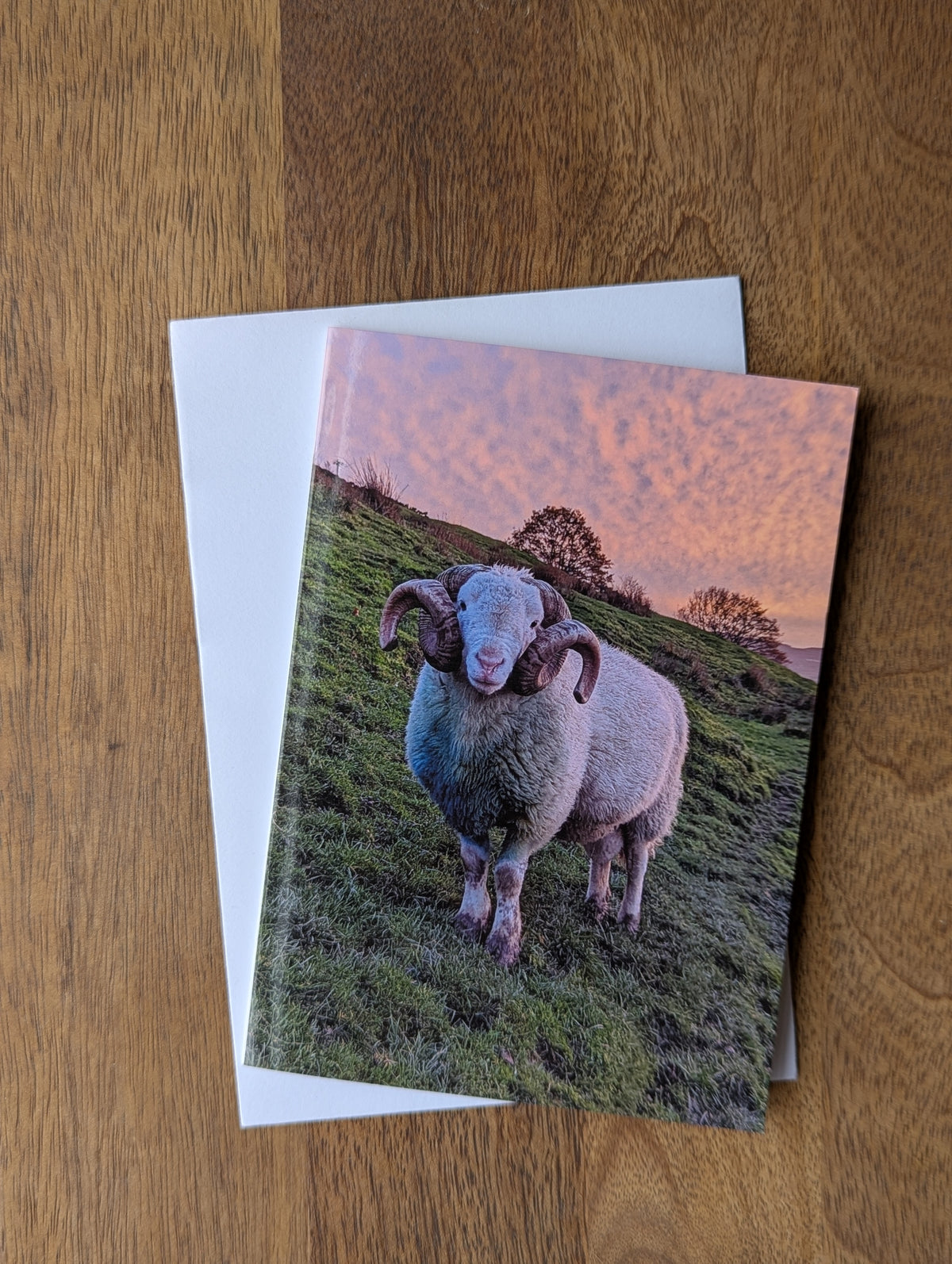 Printed Sheep Card