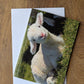 Printed Sheep Card