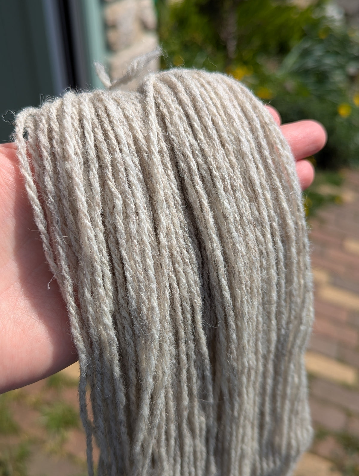 DK Yarn - Whitefaced Woodland & Ouessant Wool